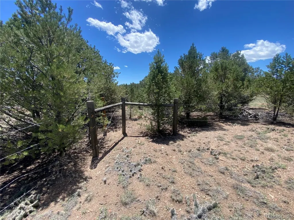 1638 20th Trail Cotopaxi CO 81223