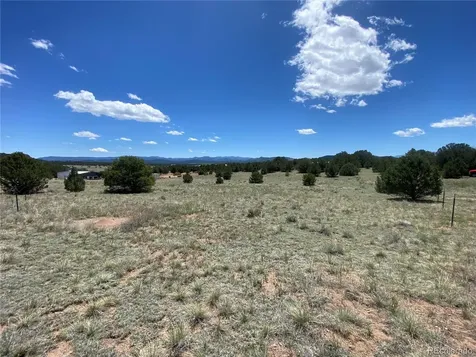 1638 20th Trail Cotopaxi CO 81223