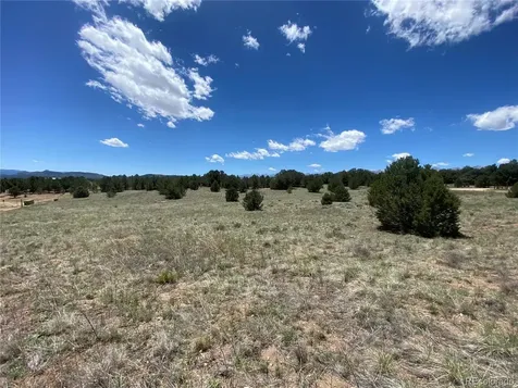 1638 20th Trail Cotopaxi CO 81223