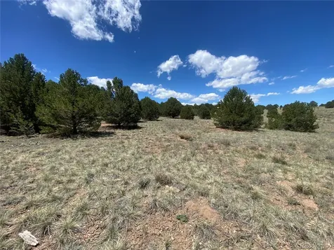 1638 20th Trail Cotopaxi CO 81223