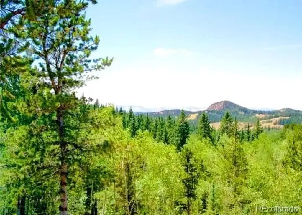 111 Co 67 Cripple Creek CO 80813