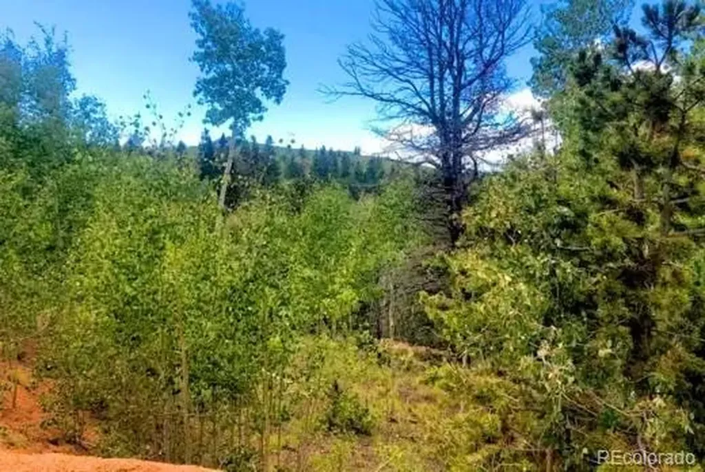 111 Co 67 Cripple Creek CO 80813