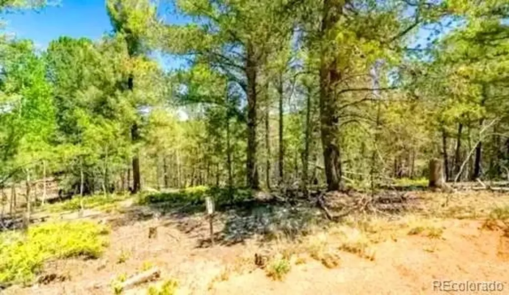 111 Co 67 Cripple Creek CO 80813
