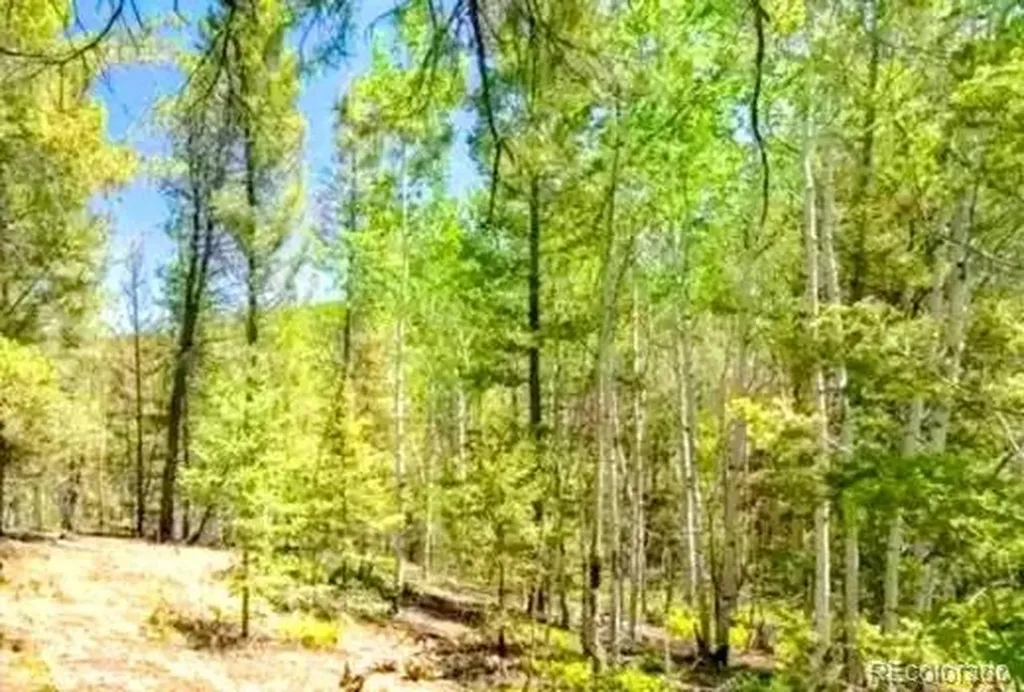 111 Co 67 Cripple Creek CO 80813