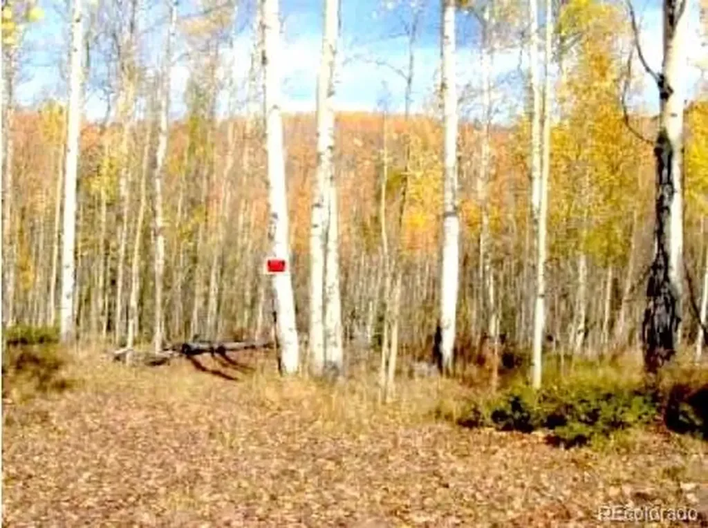 111 Co 67 Cripple Creek CO 80813