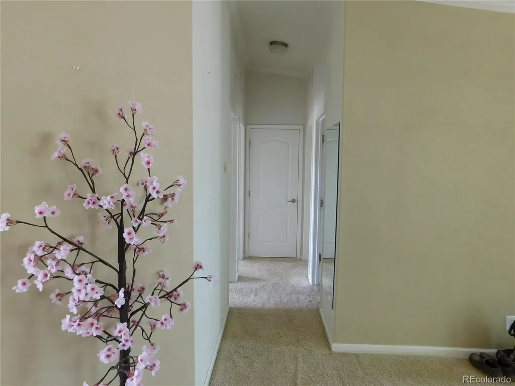 3588 E County Road 3 Monte Vista CO 81144