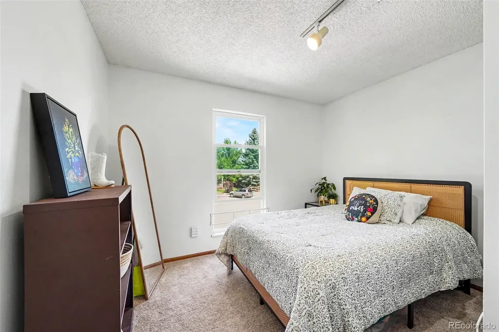 1065 S Lindsey Street Castle Rock CO 80104