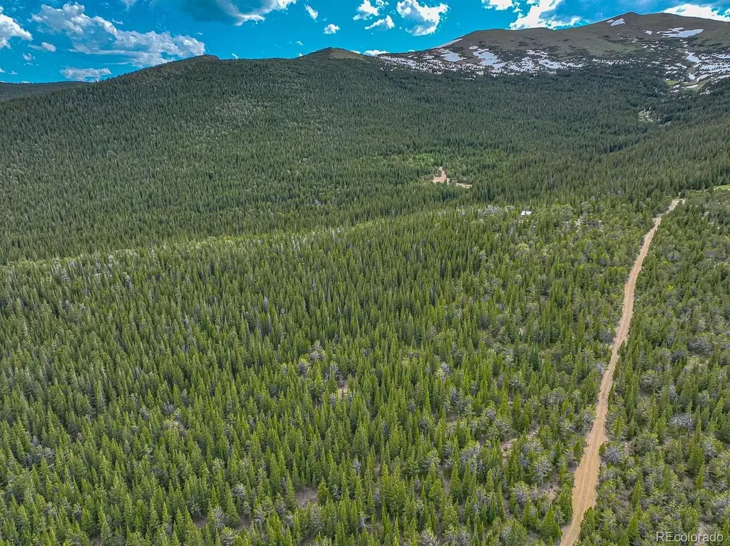 123 Mosquito Creek Road Black Hawk CO 80422