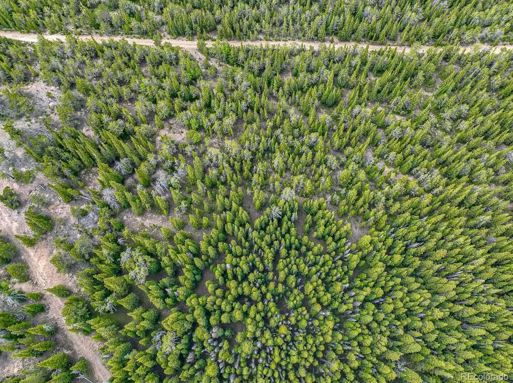 123 Mosquito Creek Road Black Hawk CO 80422