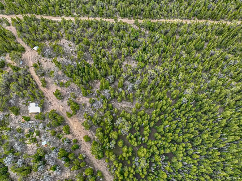 123 Mosquito Creek Road Black Hawk CO 80422