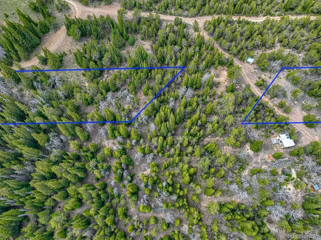 123 Mosquito Creek Road Black Hawk CO 80422