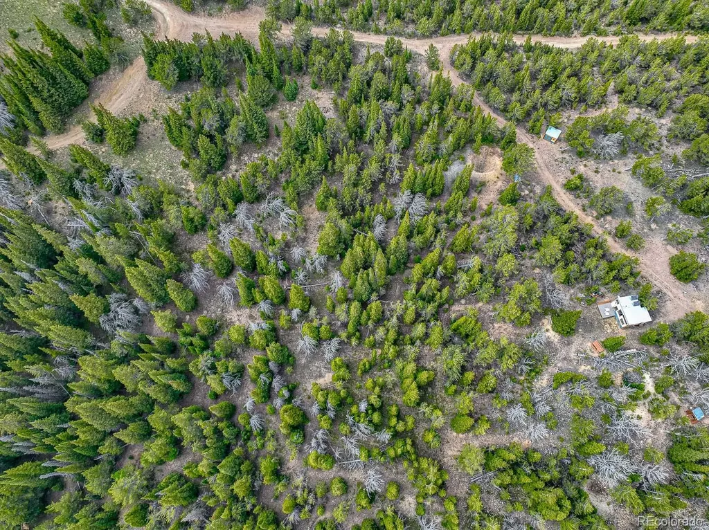 123 Mosquito Creek Road Black Hawk CO 80422