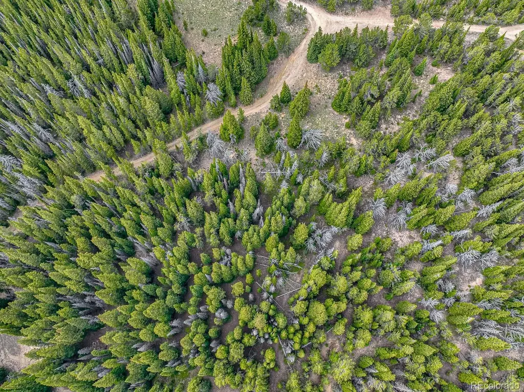 123 Mosquito Creek Road Black Hawk CO 80422