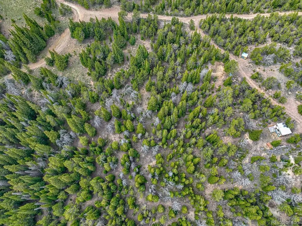 123 Mosquito Creek Road Black Hawk CO 80422