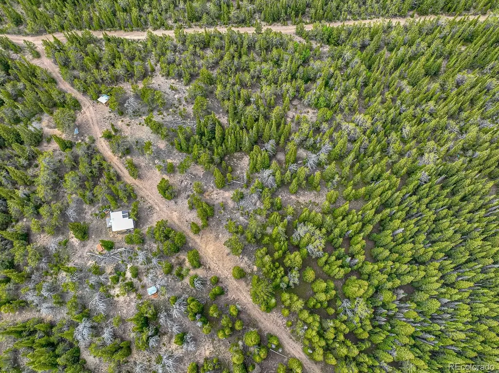 123 Mosquito Creek Road Black Hawk CO 80422