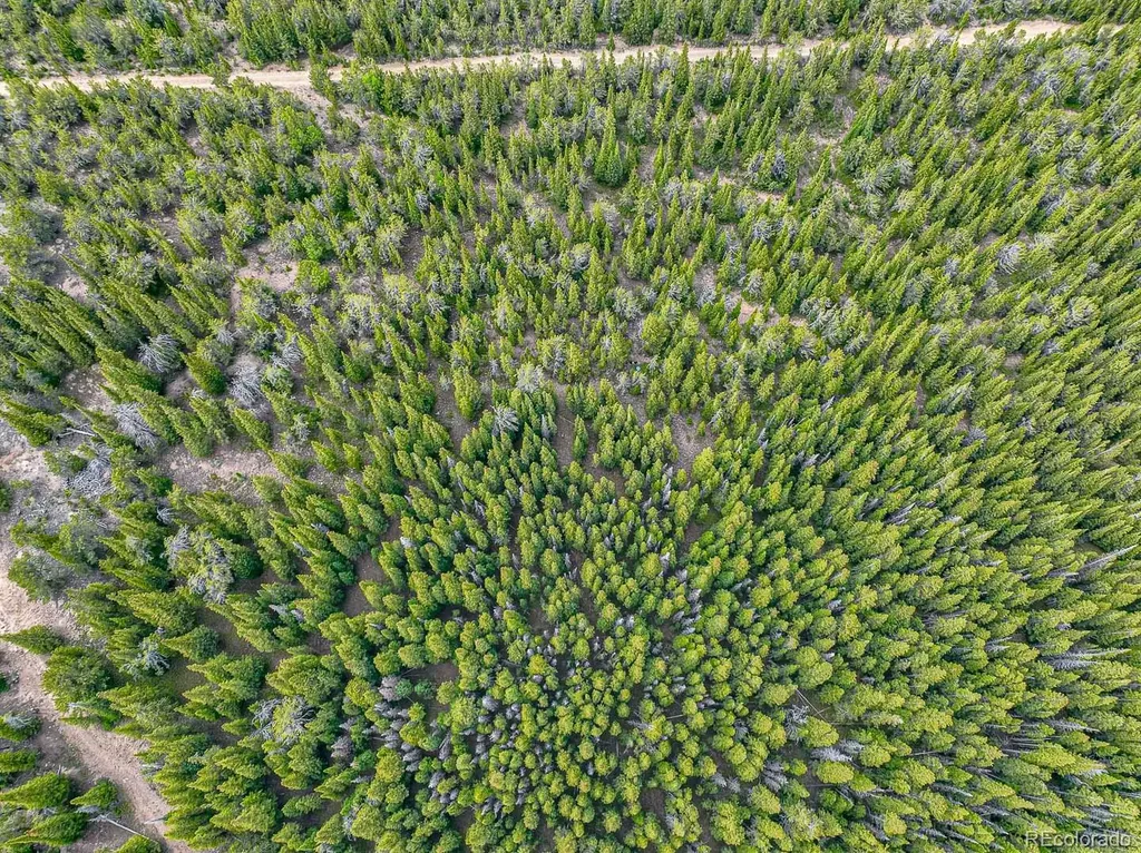 123 Mosquito Creek Road Black Hawk CO 80422