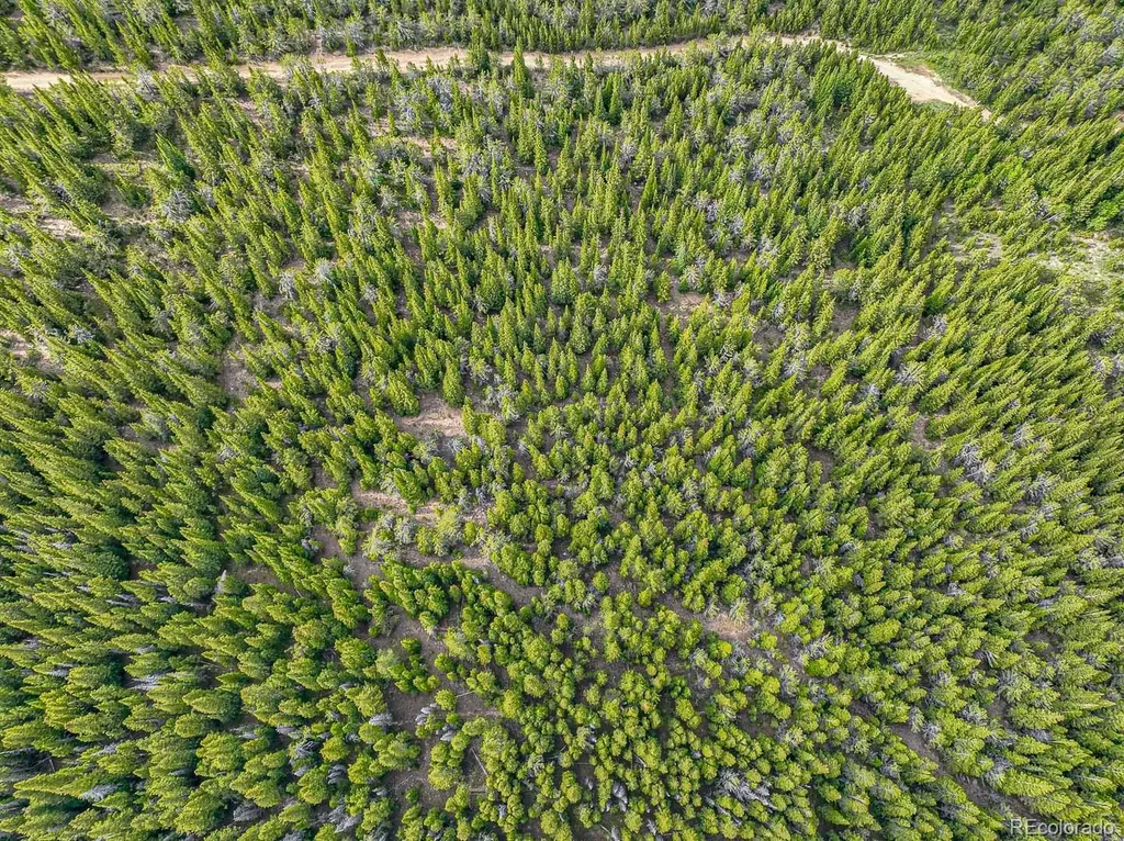 123 Mosquito Creek Road Black Hawk CO 80422