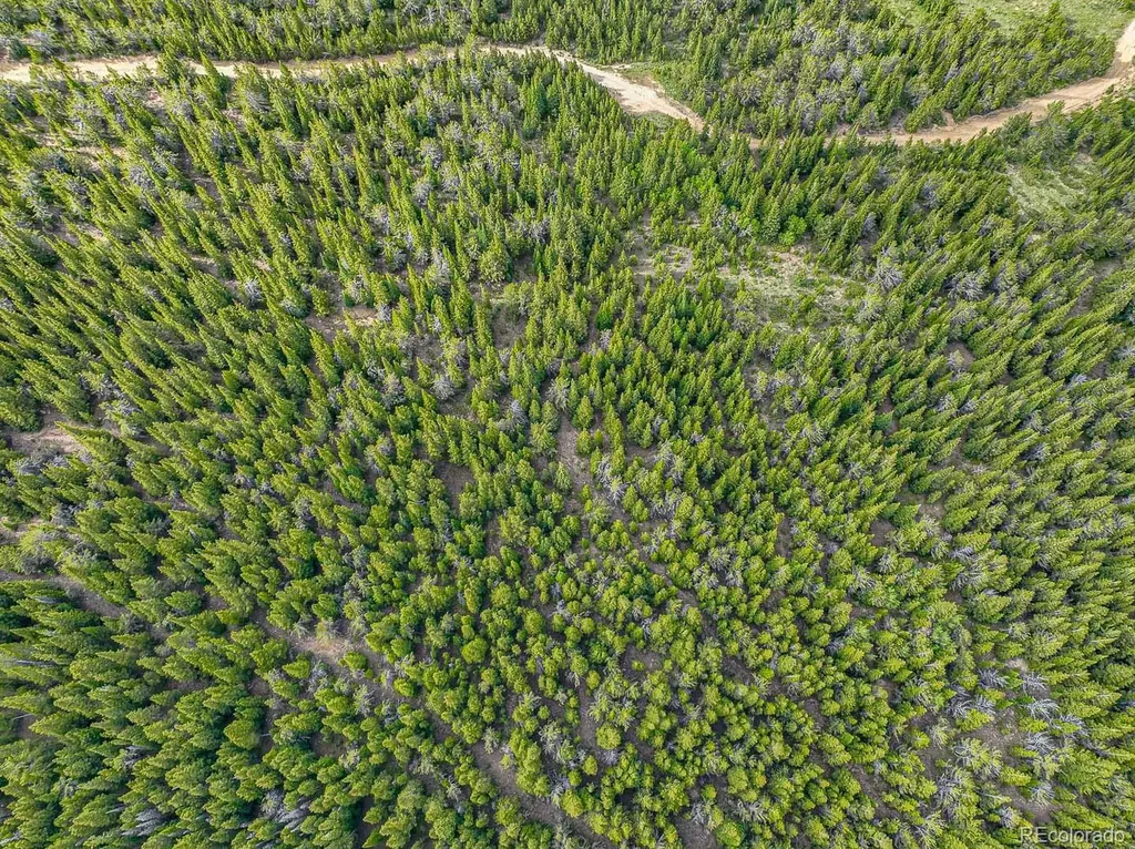123 Mosquito Creek Road Black Hawk CO 80422