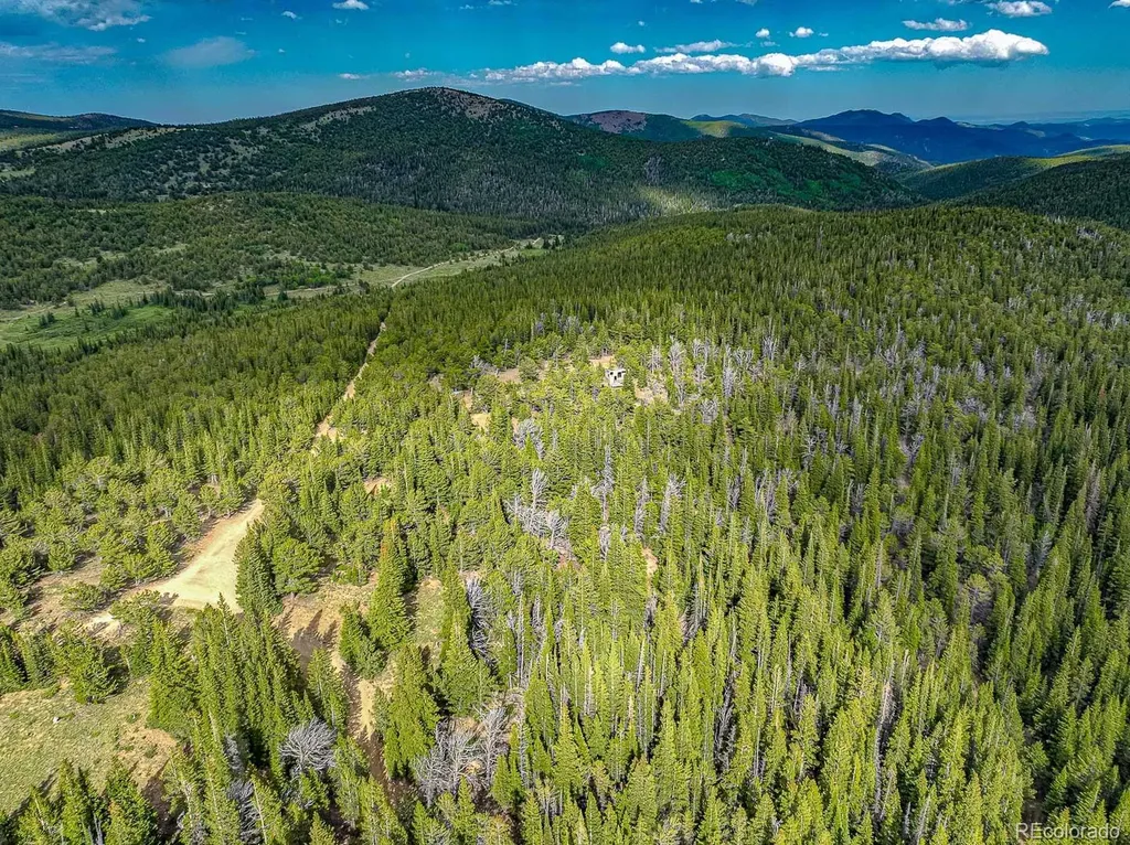 123 Mosquito Creek Road Black Hawk CO 80422