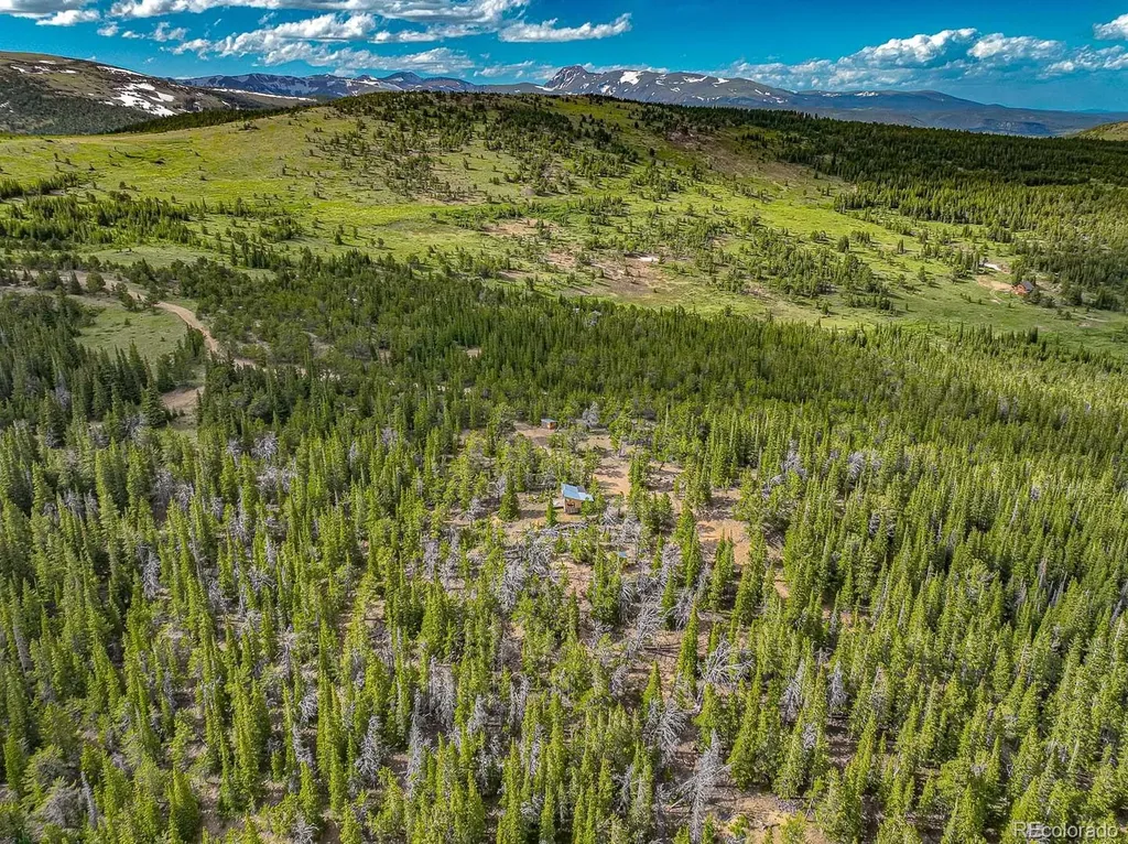 123 Mosquito Creek Road Black Hawk CO 80422