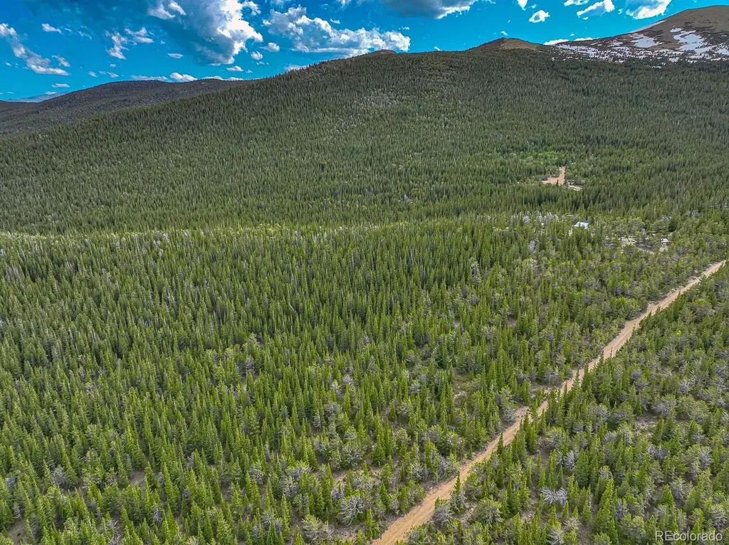 123 Mosquito Creek Road Black Hawk CO 80422