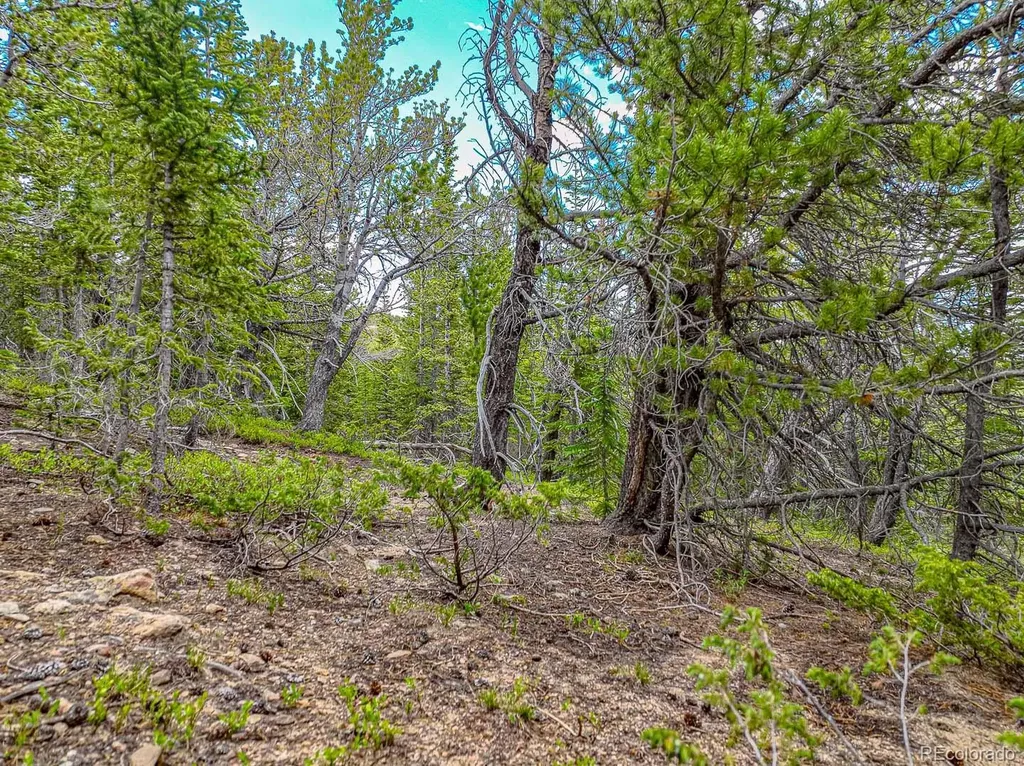 123 Mosquito Creek Road Black Hawk CO 80422