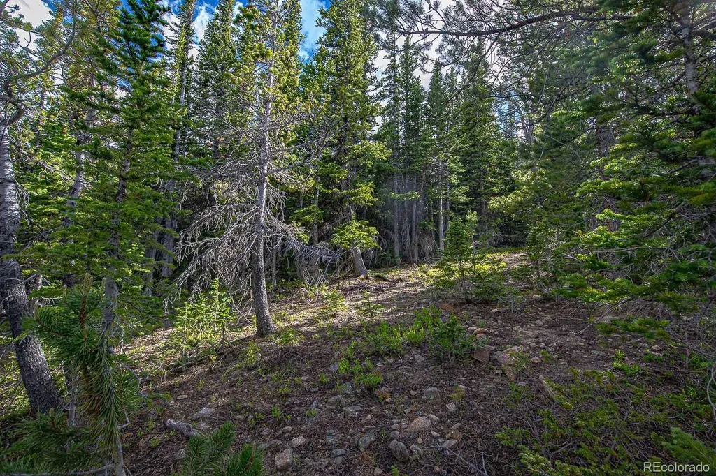 123 Mosquito Creek Road Black Hawk CO 80422