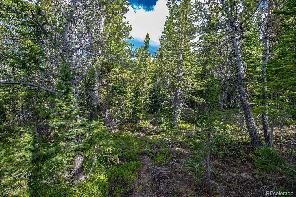 123 Mosquito Creek Road Black Hawk CO 80422