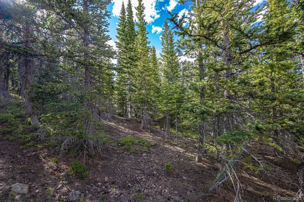 123 Mosquito Creek Road Black Hawk CO 80422