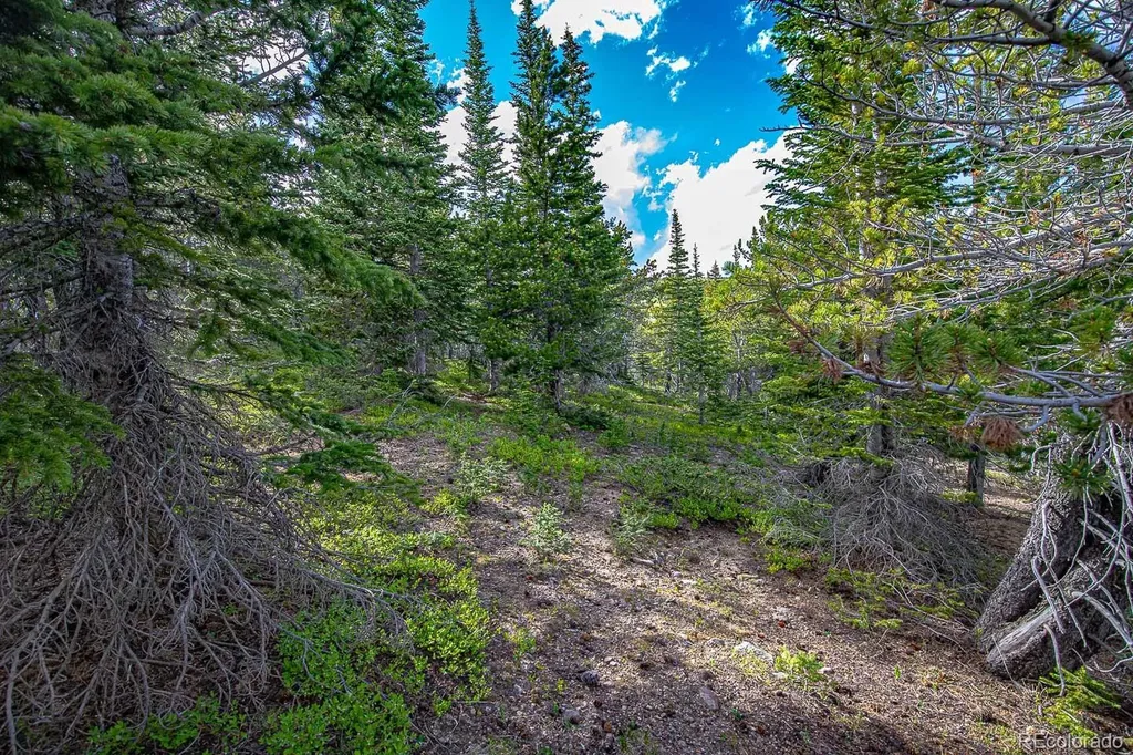 123 Mosquito Creek Road Black Hawk CO 80422