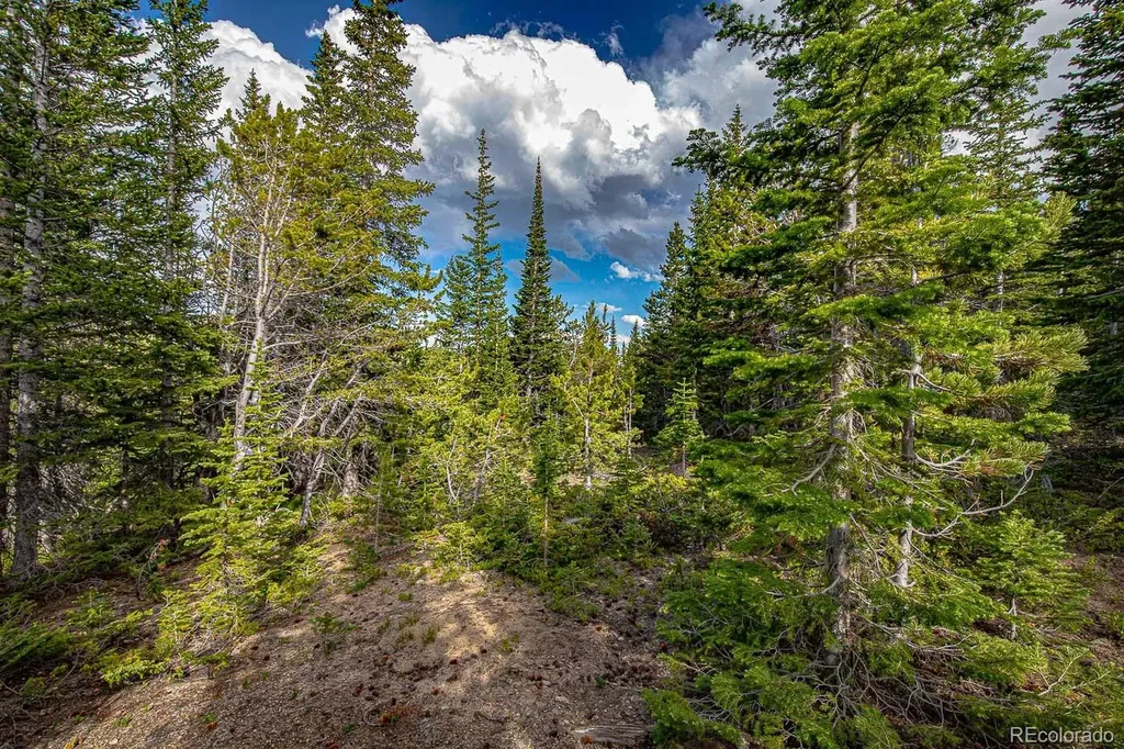 123 Mosquito Creek Road Black Hawk CO 80422
