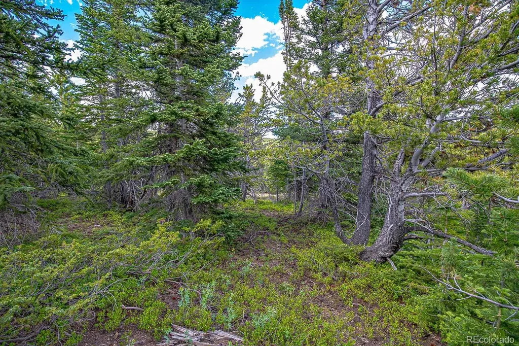 123 Mosquito Creek Road Black Hawk CO 80422