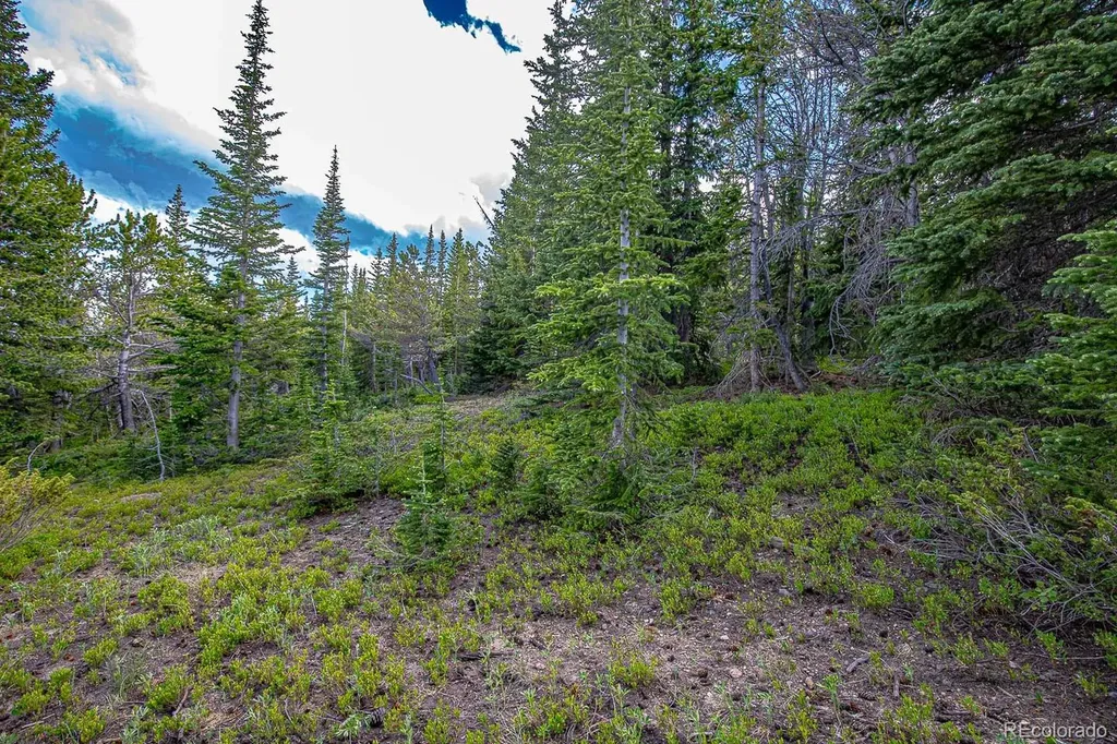 123 Mosquito Creek Road Black Hawk CO 80422