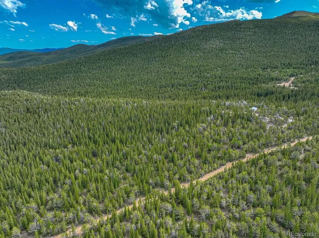 123 Mosquito Creek Road Black Hawk CO 80422