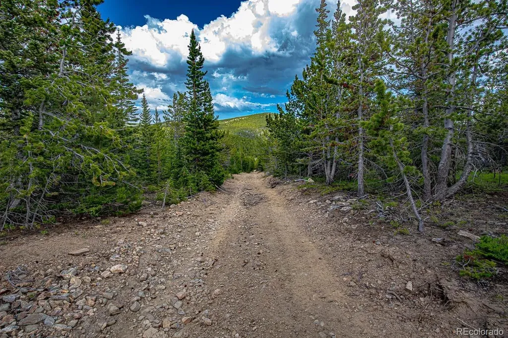 123 Mosquito Creek Road Black Hawk CO 80422