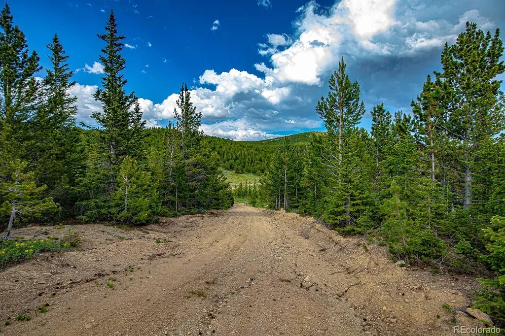 123 Mosquito Creek Road Black Hawk CO 80422