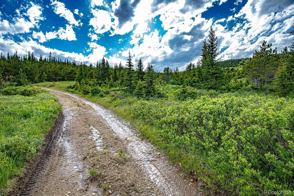 123 Mosquito Creek Road Black Hawk CO 80422
