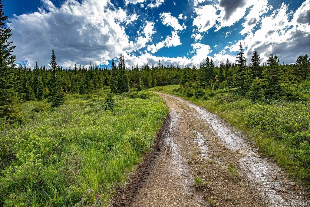 123 Mosquito Creek Road Black Hawk CO 80422