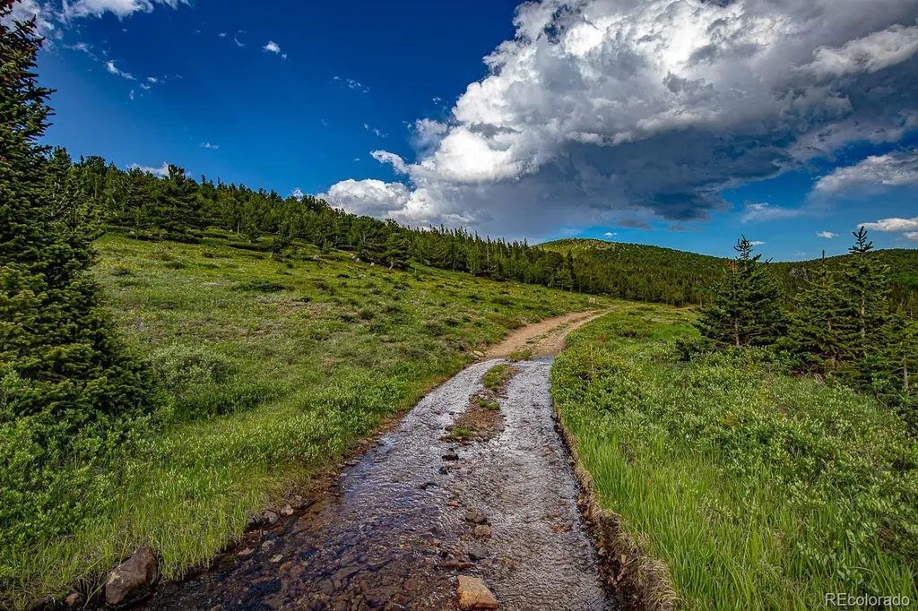 123 Mosquito Creek Road Black Hawk CO 80422