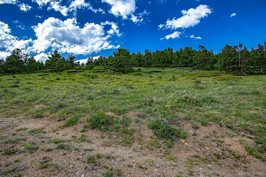 123 Mosquito Creek Road Black Hawk CO 80422