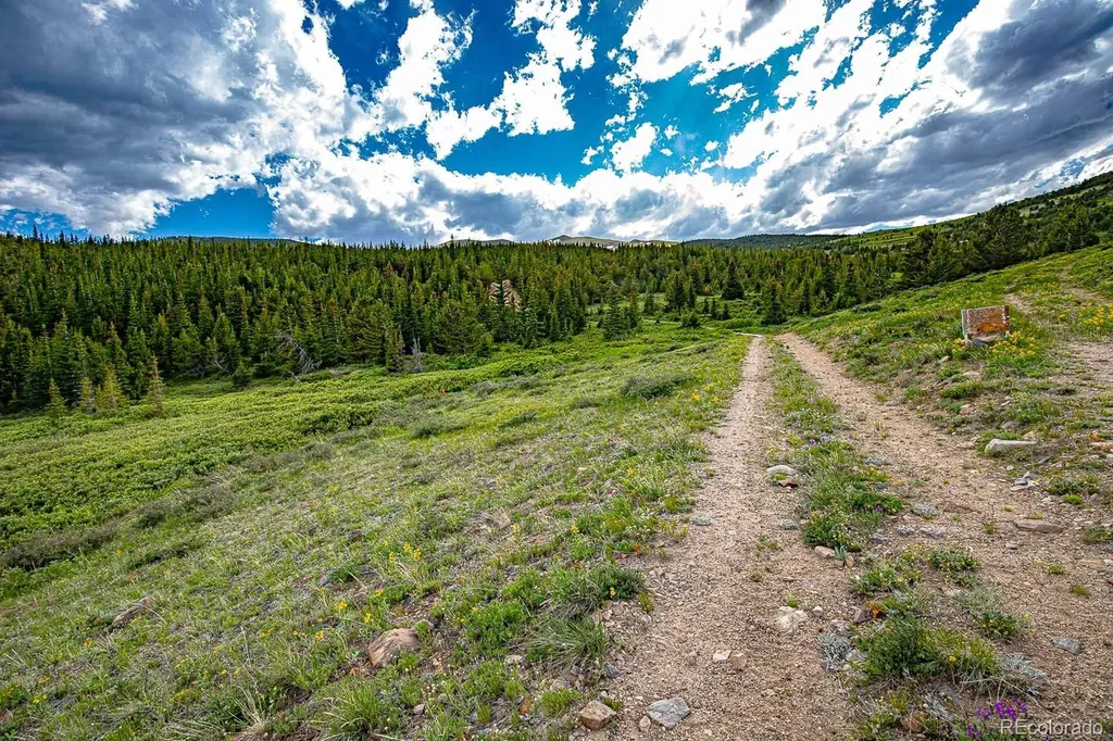 123 Mosquito Creek Road Black Hawk CO 80422