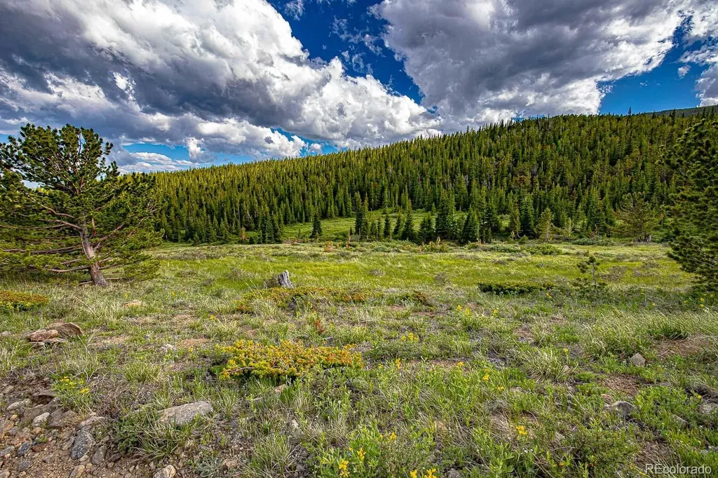 123 Mosquito Creek Road Black Hawk CO 80422