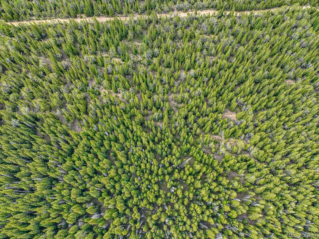 123 Mosquito Creek Road Black Hawk CO 80422