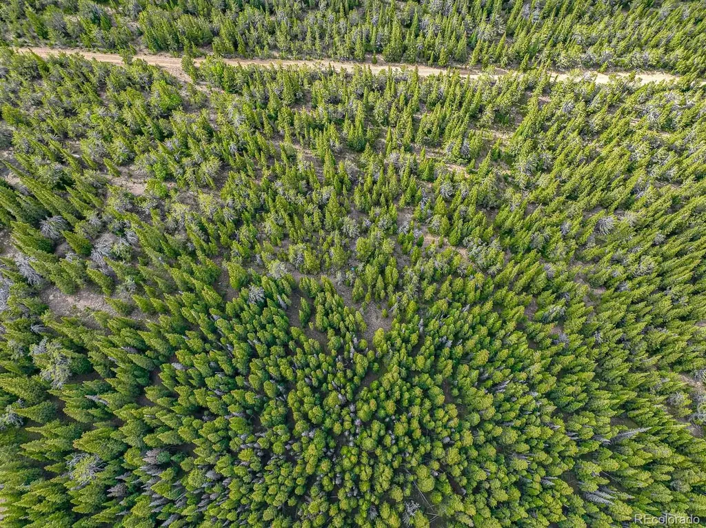 123 Mosquito Creek Road Black Hawk CO 80422