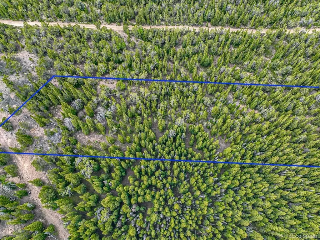 123 Mosquito Creek Road Black Hawk CO 80422