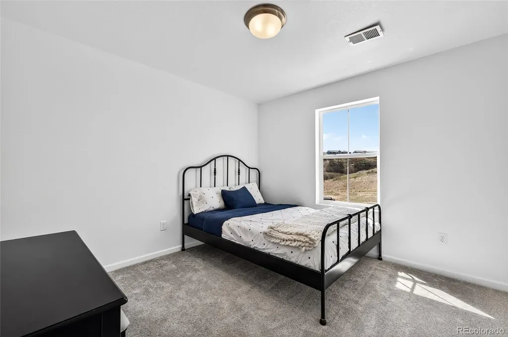 3721 Rucksack Court Castle Rock CO 80108
