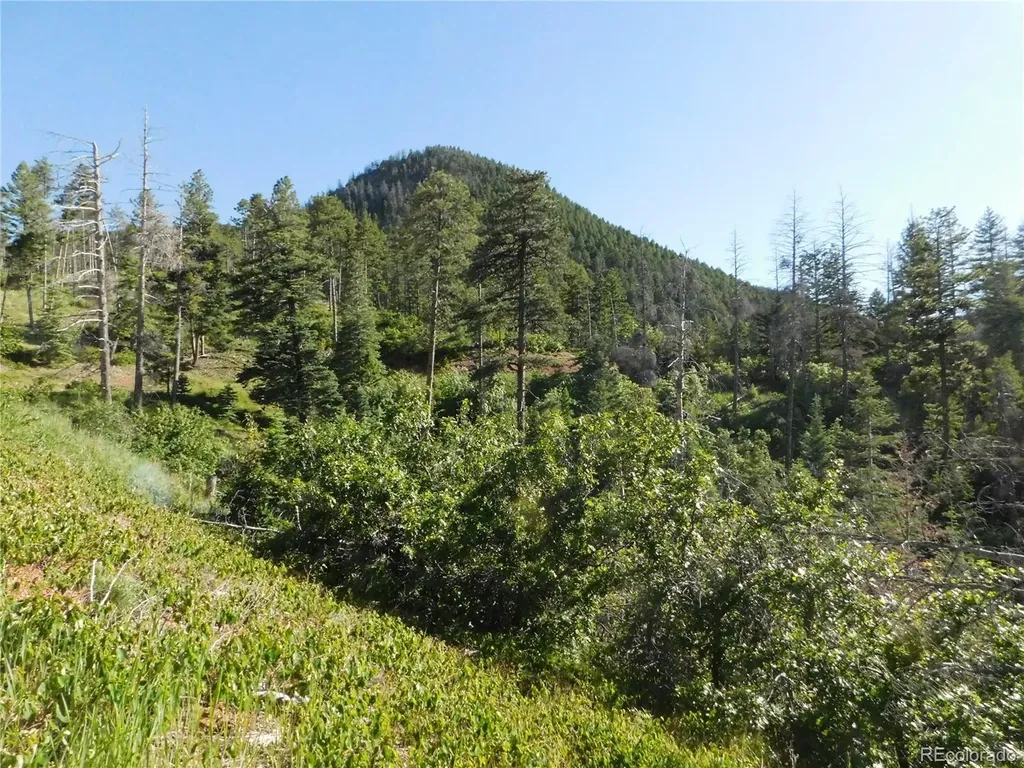 5425 Cheyenne Drive Larkspur CO 80118