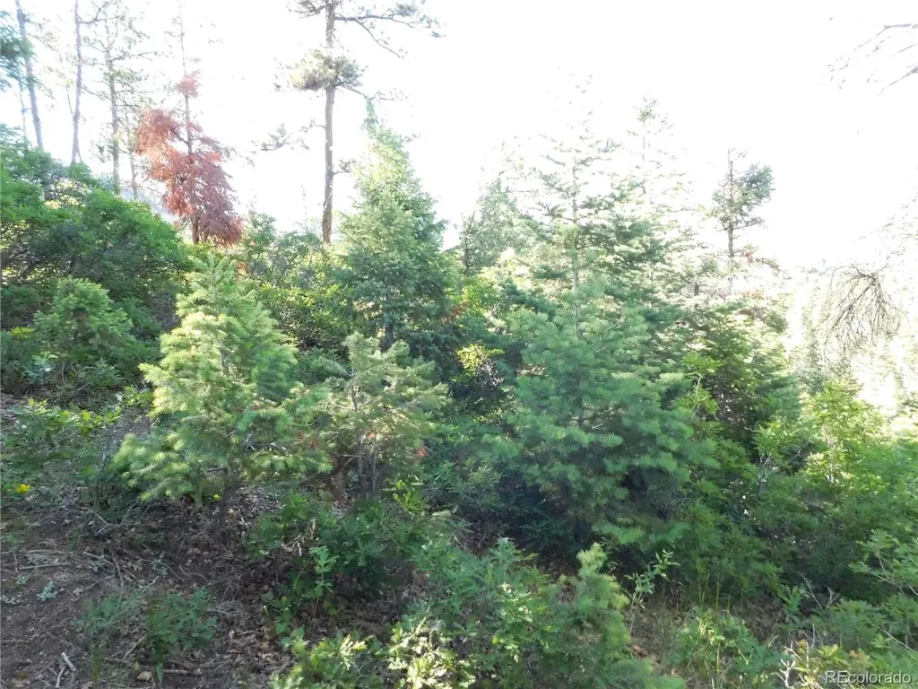 5425 Cheyenne Drive Larkspur CO 80118