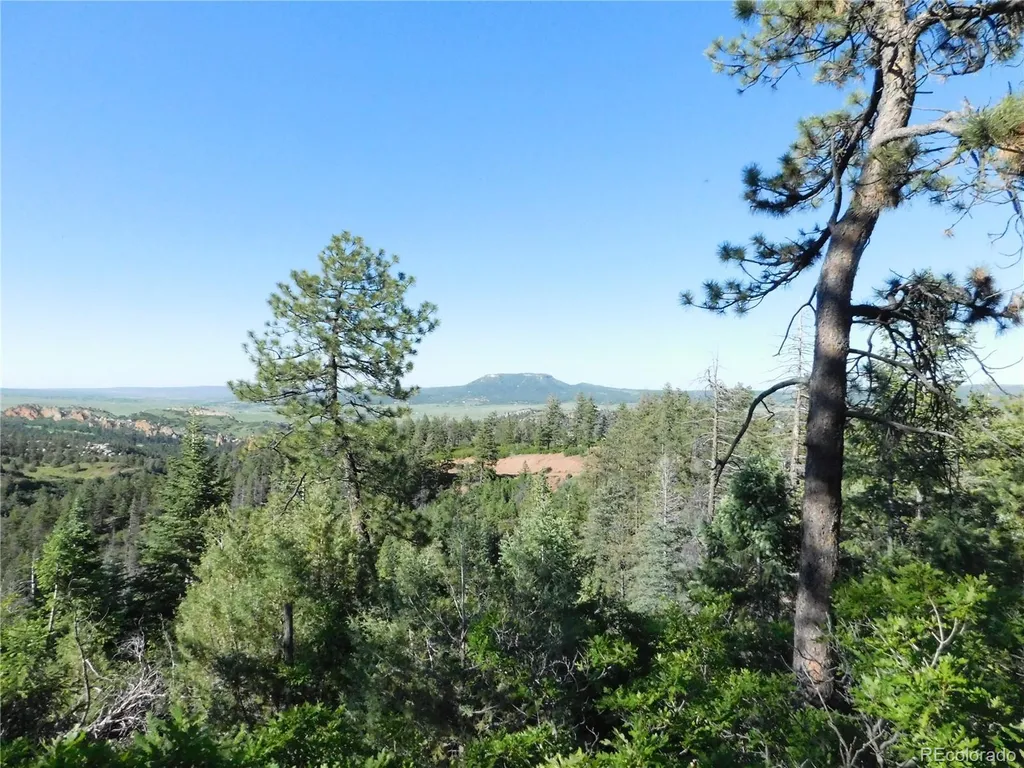 5425 Cheyenne Drive Larkspur CO 80118