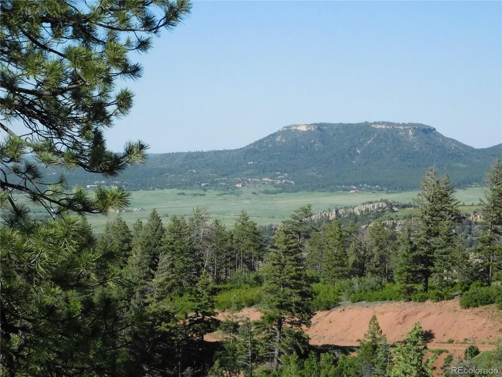 5425 Cheyenne Drive Larkspur CO 80118